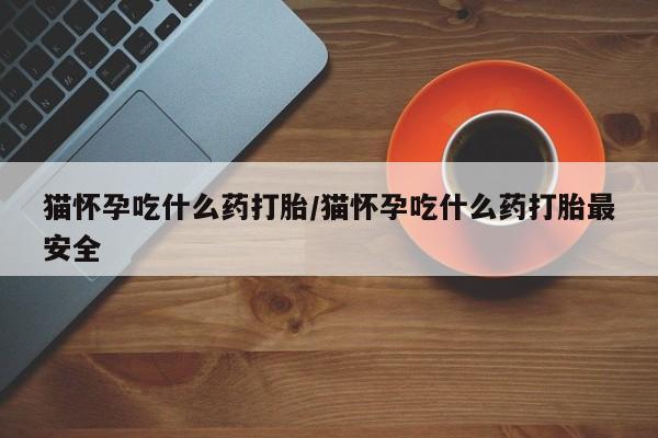 网上如何购买堕胎药猫怀孕吃什么药打胎/猫怀孕吃什么药打胎最安全
