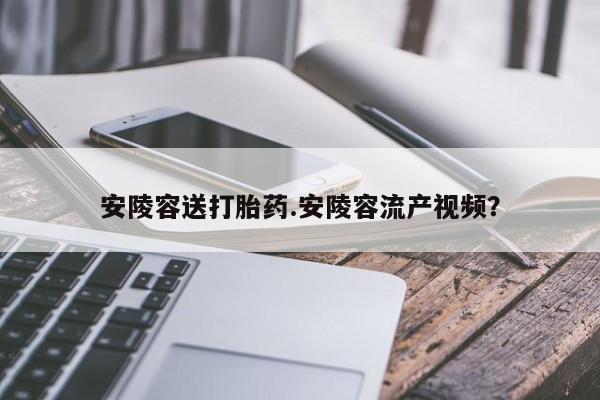 网上如何购买堕胎药安陵容送打胎药.安陵容流产视频？