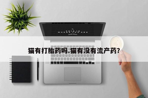 网上如何购买堕胎药猫有打胎药吗.猫有没有流产药？