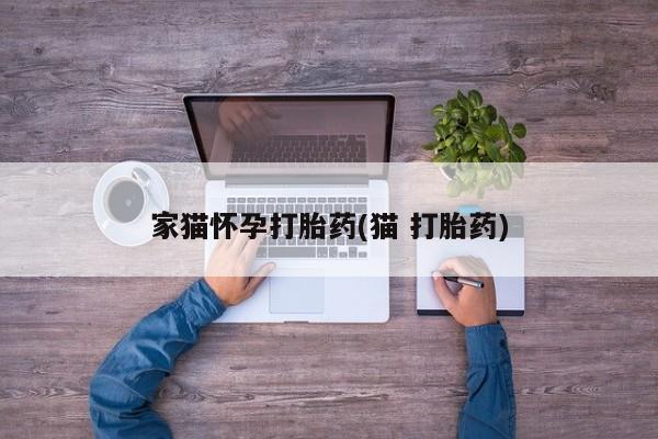 网上如何购买堕胎药家猫怀孕打胎药(猫 打胎药)